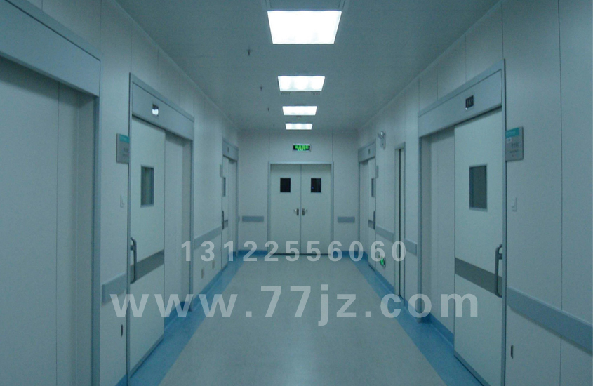 鋼制雙開(kāi)凈化門